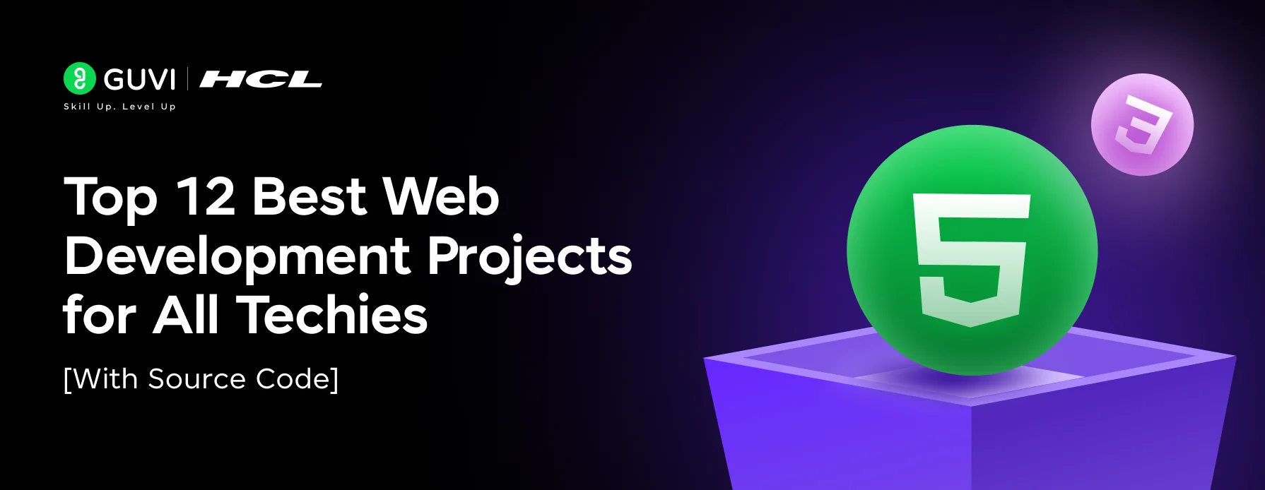 web development project